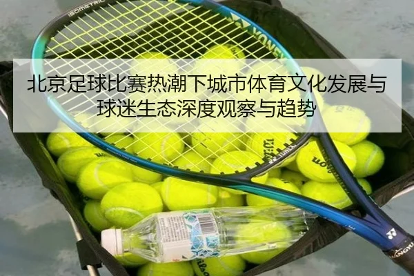 bei-jing-zu-qiu-bi-sai-re-chao-xia-cheng-shi-ti-yu-wen-hua-fa-zhan-yu-qiu-mi-sheng-tai-shen-du-guan-cha-yu-qu-shi-3-605.jpg