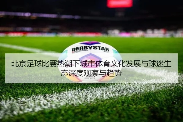 北京足球比赛热潮下城市体育文化发展与球迷生态深度观察与趋势