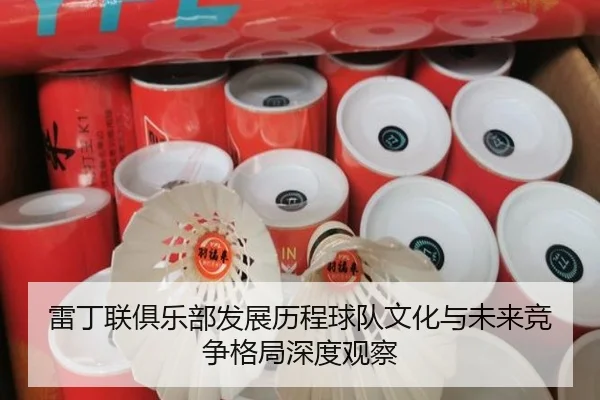 lei-ding-lian-ju-le-bu-fa-zhan-li-cheng-qiu-dui-wen-hua-yu-wei-lai-jing-zheng-ge-ju-shen-du-guan-cha-2-508.jpg